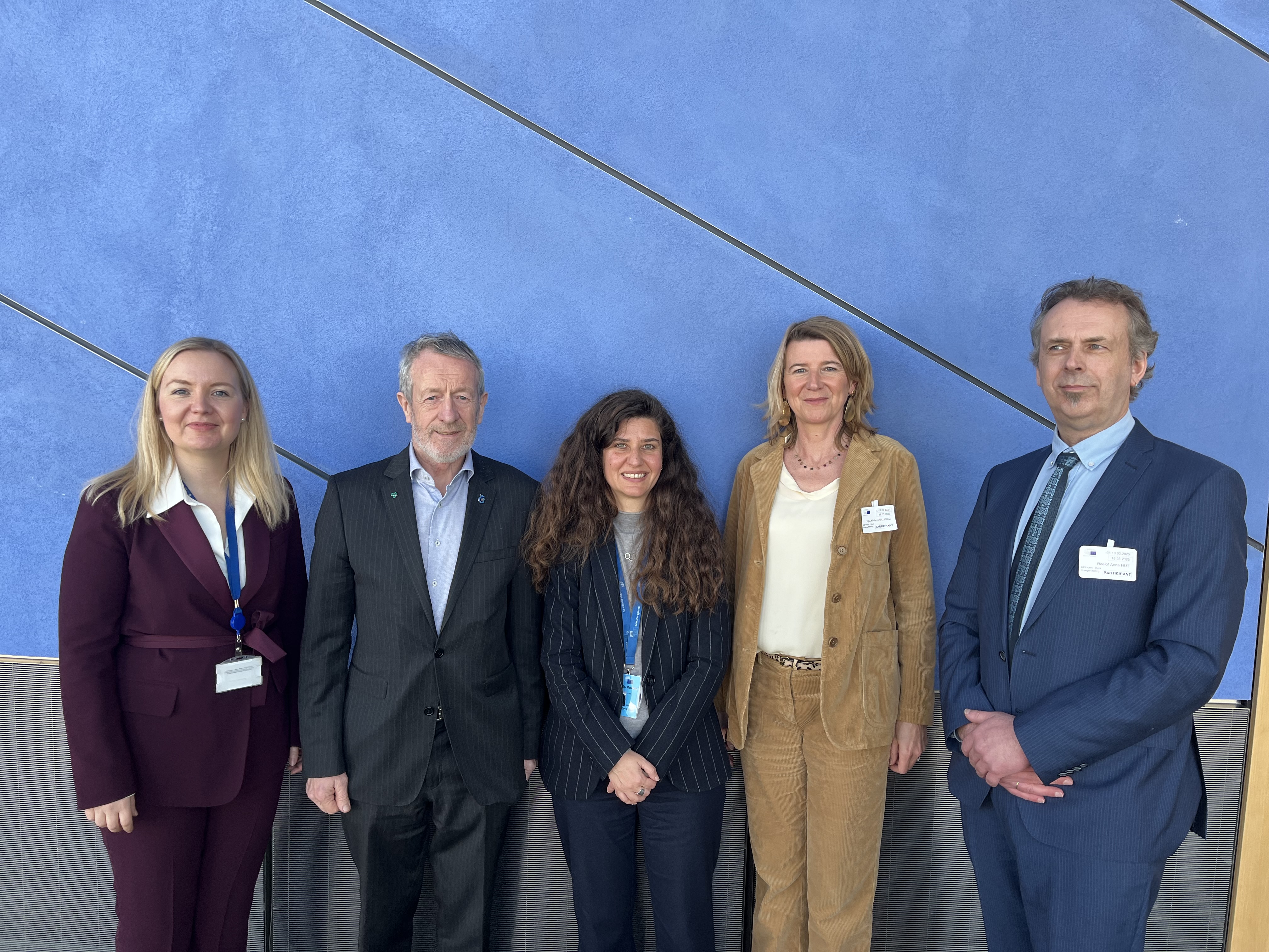 EP_DST_hearing_Söderqvist_Kelly_Nikolopoulou_Declercq_Hut_March 2025